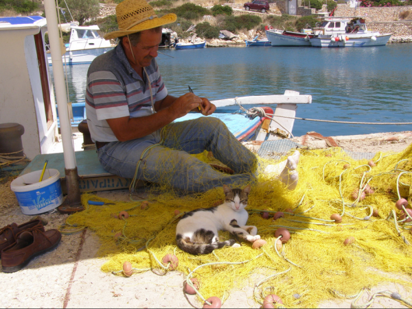 Αρκοί: Η γαλήνη των Δωδεκανήσων