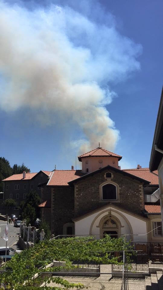 Κύπρος: Μεγάλη πυρκαγιά σε δασική περιοχή