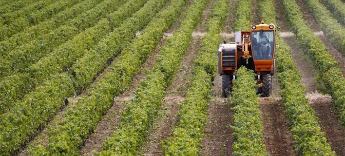 ΕΛΓΑ: Την Παρασκευή οι αποζημιώσεις στους 8.825 παραγωγούς