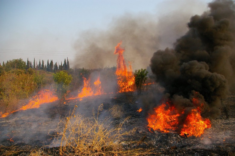 Πυρκαγιά στις Αμάδες της Χίου