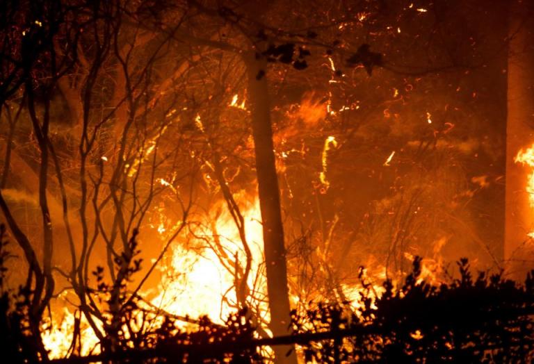 Υψηλός κίνδυνος πυρκαγιάς τη Δευτέρα σε Αττική και Εύβοια