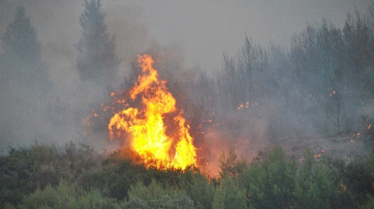 Υψηλός ο κίνδυνος πυρκαγιάς – Σε ποιες περιοχές