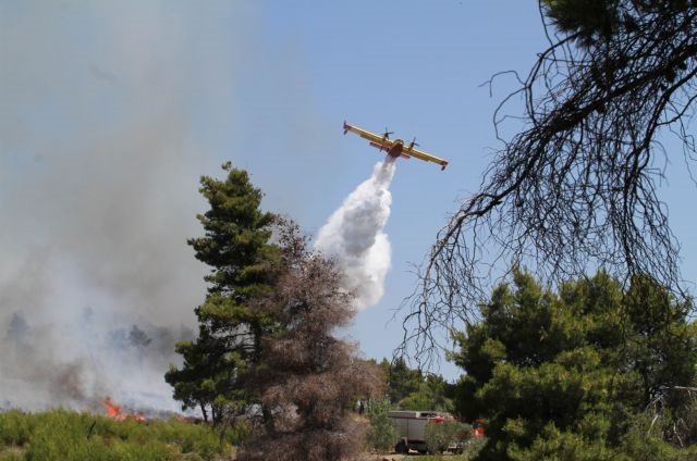 Συναγερμός στην Πυροσβεστική – Πυρκαγιά στο Κορωπί