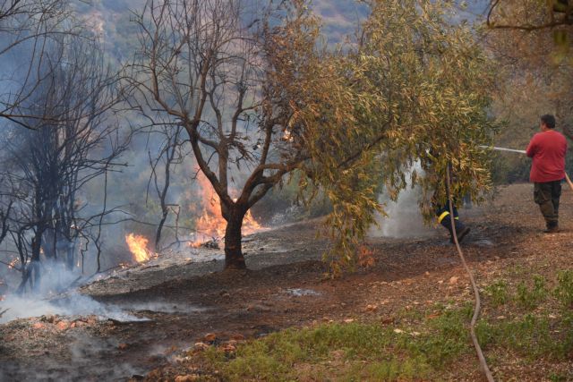 Αισιοδοξία Ταφύλλη για την πυρκαγιά στην Εύβοια