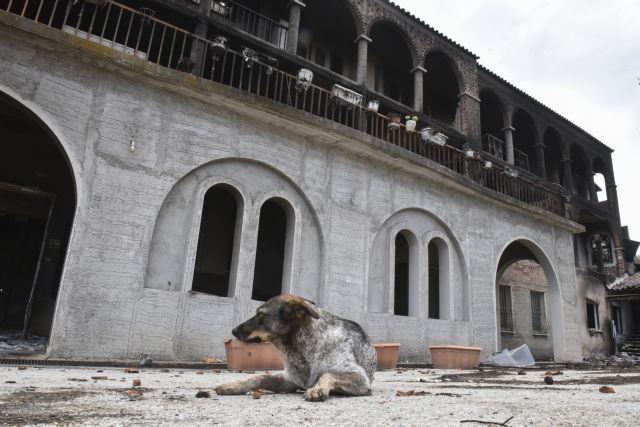 Στην αποκατάσταση της ηλεκτροδότησης του Λύρειου Ιδρύματος θα συμβάλλει η Βουλή