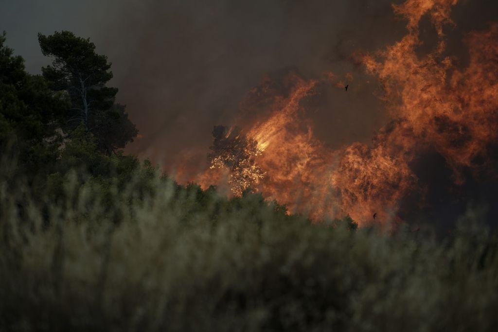 Πυρκαγιά στην Ηλεία - Δεν απειλούνται σπίτια