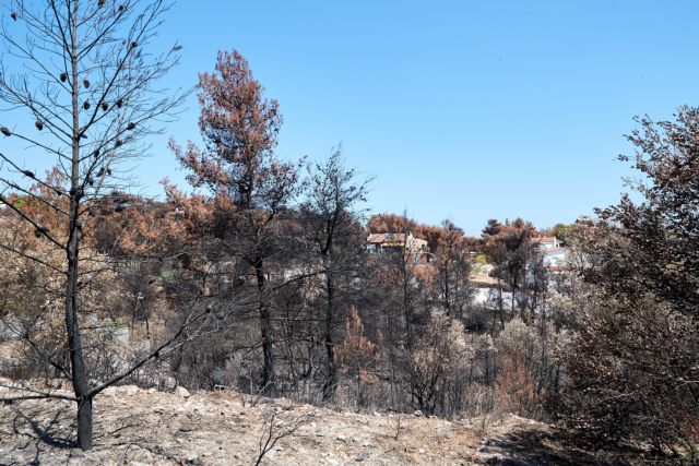 Σύλληψη 38χρονου για τη χθεσινή φωτιά στη Σαλαμίνα
