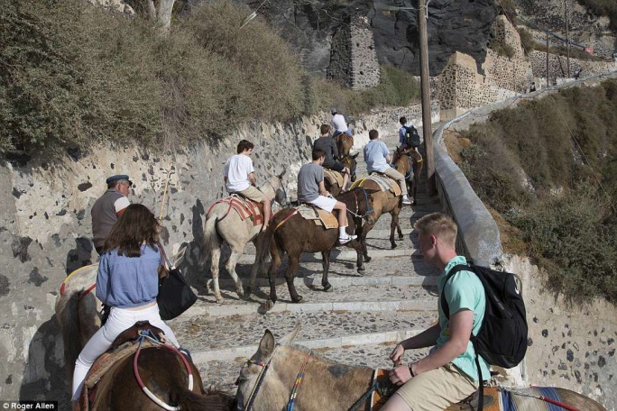 Τα ζώα που πληγώναμε