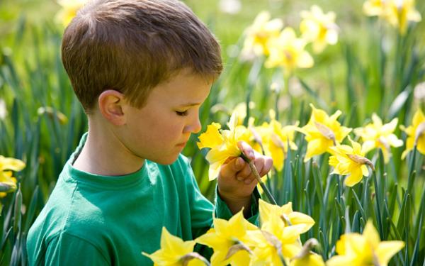 Νέα στοιχεία για το πως προκύπτουν οι μυρωδιές