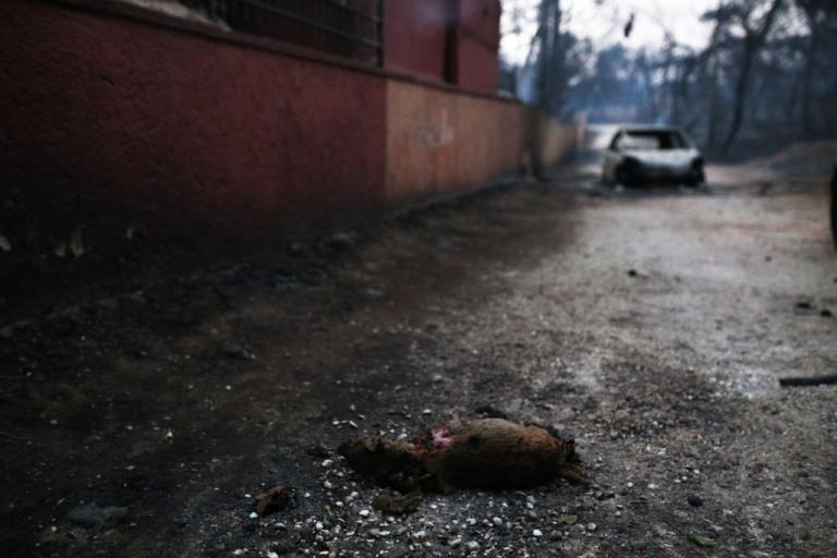 Μάτι : Οι πιο συγκλονιστικές φωτογραφίες του πύρινου εφιάλτη