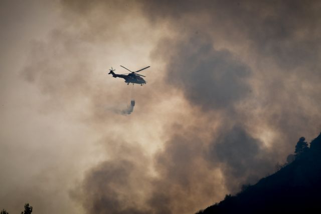 Ηλεία: Δεύτερο πύρινο μέτωπο στην Αμαλιάδα [Εικόνες]