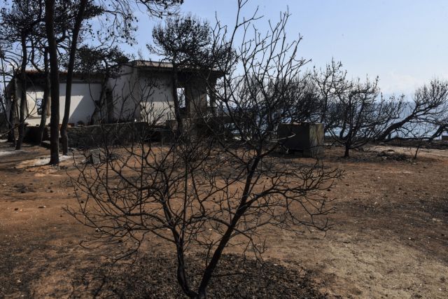 Σπίρτζης: Σε συγγενή στελέχους της ΝΔ ανήκει το οικόπεδο της φρίκης στο Μάτι