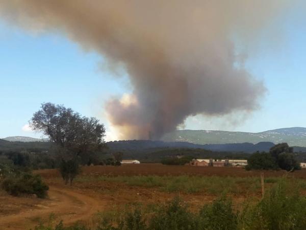 Μεγάλη ανεξέλεγκτη πυρκαγιά στην Εύβοια