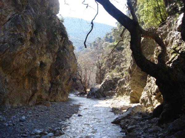 Απεγκλωβισμός 21χρονης από φαράγγι στη Φθιώτιδα