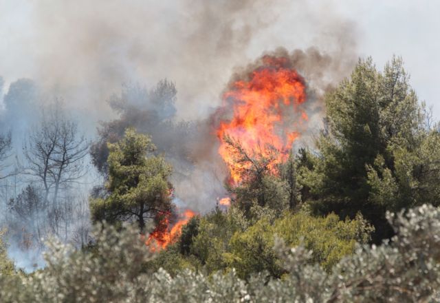 Υπό έλεγχο η φωτιά στον Σχινιά Αττικής