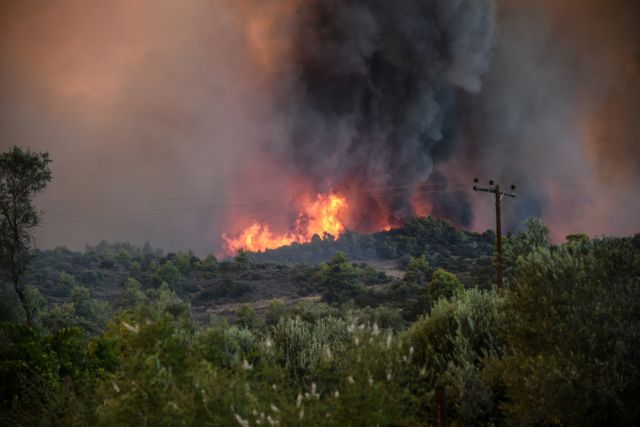 Πυρκαγιά σε δάσος στην περιοχή Σταυρός στην Εύβοια