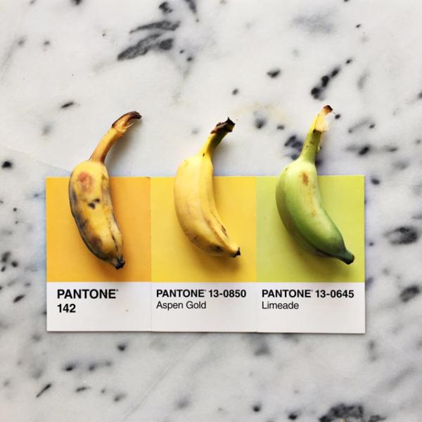 Κάνει η Pantone κουμάντο στις πασαρέλες;