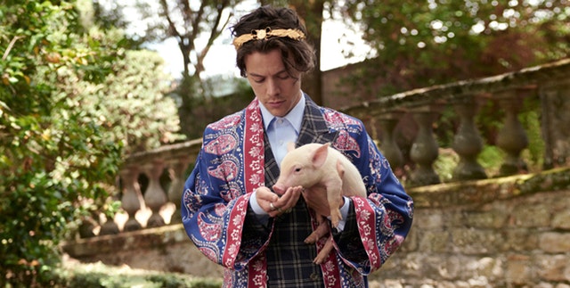 Ο Χάρι Σταίλς ποζάρει για την νέα κολεξιόν της Gucci