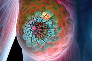 Ελπιδοφόρο πειραματικό αντικαρκινικό εμβόλιο