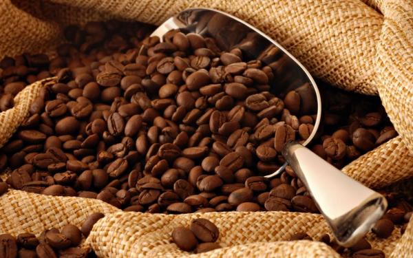 Kαφές υψηλής ποιότητας το δυνατό χαρτί του Ελ Σαλβαδόρ