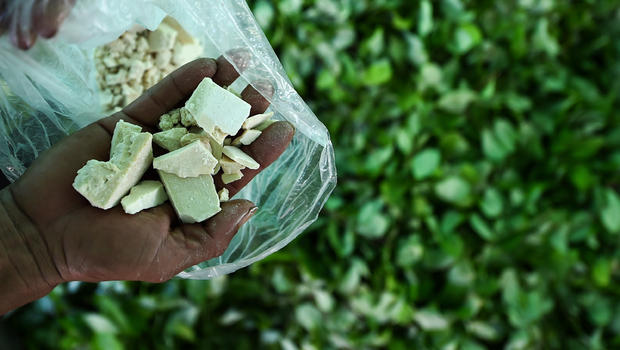 Κολομβία: Παραμένει πρώτη στην παραγωγή κοκαΐνης παγκοσμίως