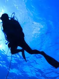 Ο… δύτης περιφερειάρχης