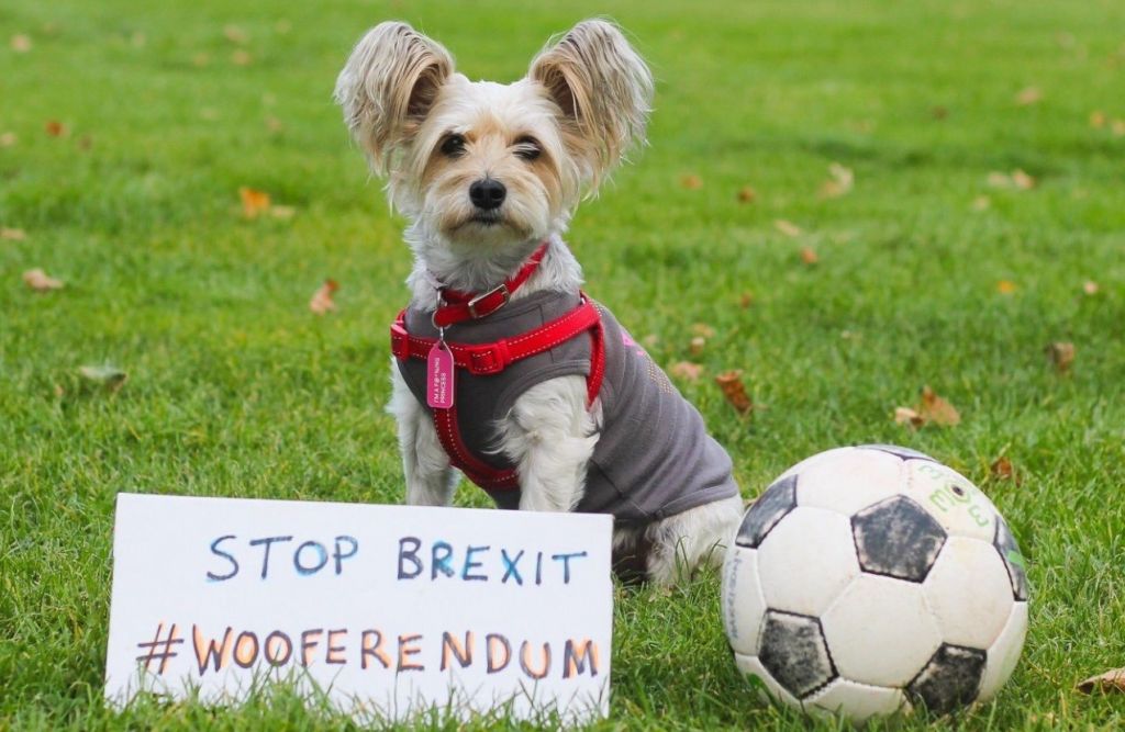 Wooferendum: Κίνημα σκύλων κατά του Brexit