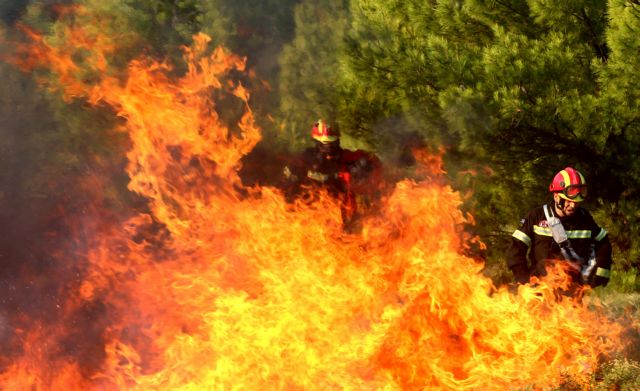 Πυρκαγιά στην Σπιάτζια Ηλείας: Μάχη να μείνουν οι φλόγες μακριά από τα σπίτια