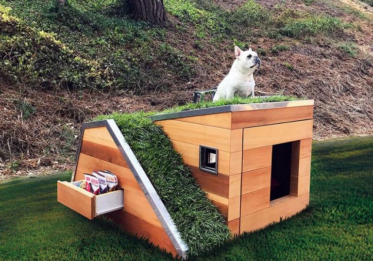 «Πράσινα» σπίτια αποκλειστικά για τετράποδα