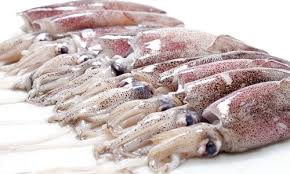 Κατάσχεση ληγμένων καλαμαριών στον Πειραιά