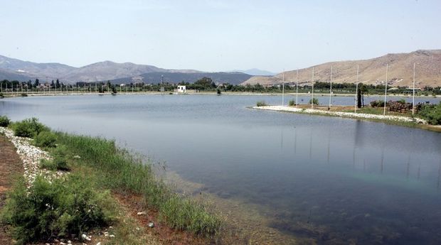 Συναγερμός στο Σχινιά: Νεκρά ψάρια και έντονη δυσοσμία – Έρευνες από το ΕΛΚΕΘΕ