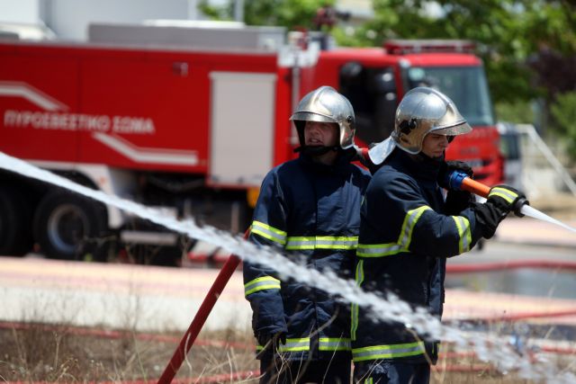 Θεσσαλονίκη: Υπό πλήρη έλεγχο η πυρκαγιά στο χωριό Λουδίας
