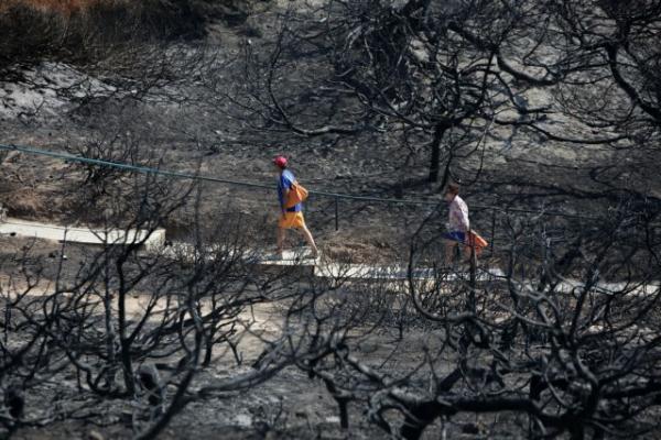 Interamerican: Πάνω από 5,22 εκατ. ευρώ οι αποζημιώσεις από τις πυρκαγιές