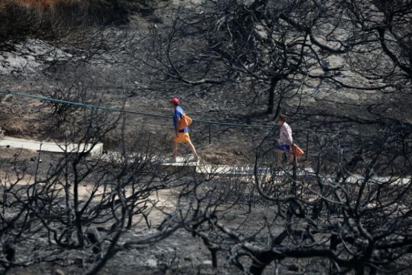 Τα «5+1» πορίσματα για την φονική πυρκαγιά στο Μάτι