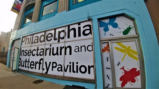 ΗΠΑ: Έκλεψαν 7.000 έντομα από μουσείο της Φιλαδέλφεια