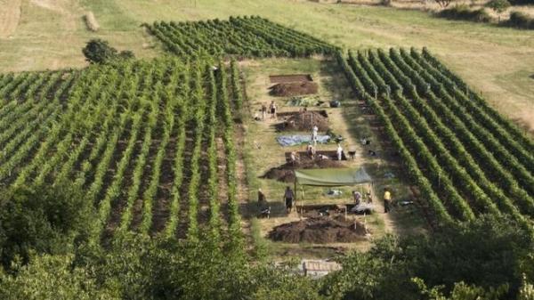 Ίχνη τυριού 7.000 ετών βρέθηκαν στην Κροατία