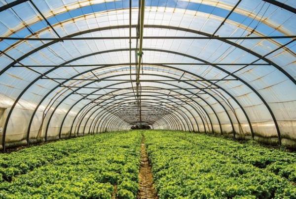 Με θερμοκήπια μπορούν να αντιμετωπιστούν οι κλιματικές αλλαγές