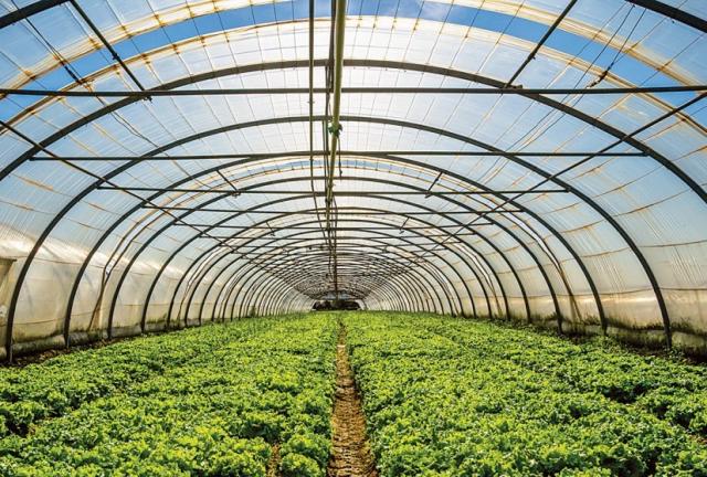 Με θερμοκήπια μπορούν να αντιμετωπιστούν οι κλιματικές αλλαγές