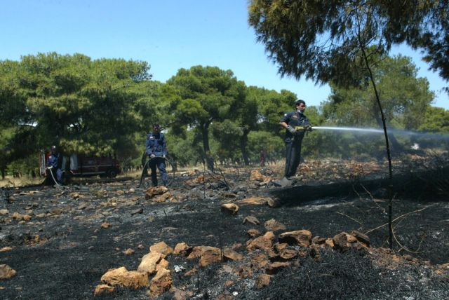 Υπό μερικό έλεγχο η φωτιά στο Άλσος Βεΐκου