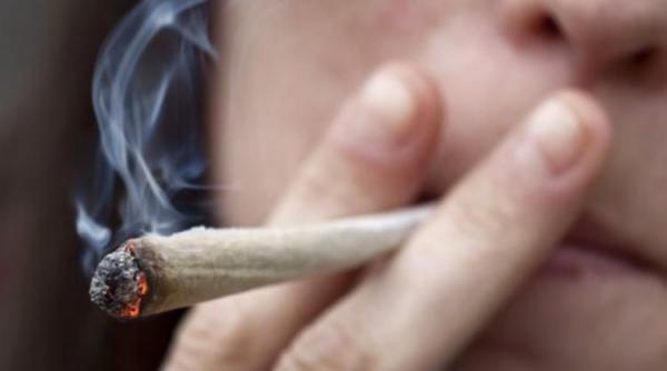 Αναζητούνται μερακλήδες… κάνναβης, μισθός ικανοποιητικός