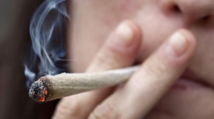 Αναζητούνται μερακλήδες… κάνναβης, μισθός ικανοποιητικός