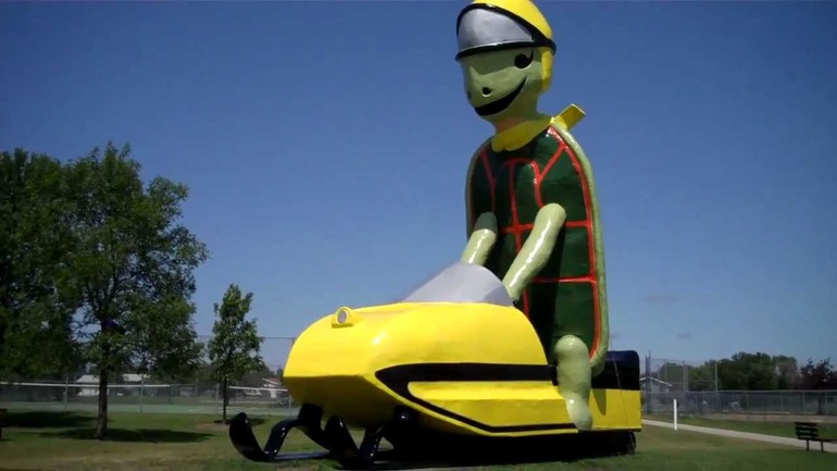 Ο Τόμι η Χελώνα – H πιο ψηλή χελώνα του κόσμου