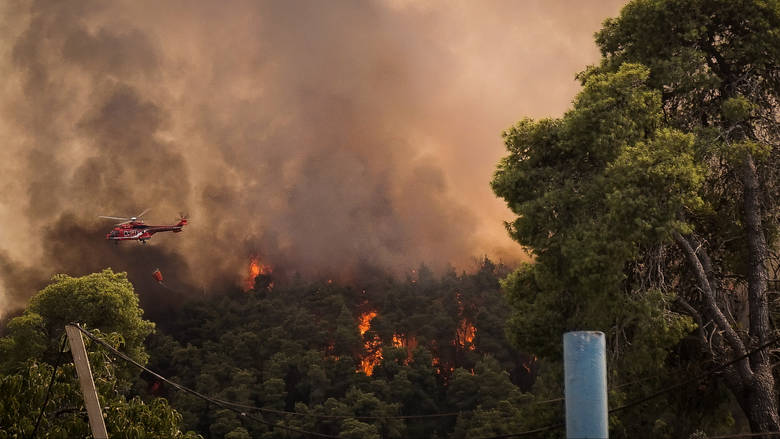 Ανεξέλεγκτη μαίνεται η πυρκαγιά στη Σιθωνία - Εκκενώθηκε οικισμός