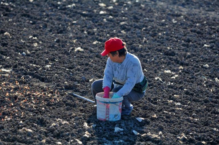 Το προφίλ της ελληνίδας αγρότισσας