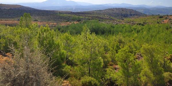 Νέος γύρος ανάρτησης δασικών χαρτών