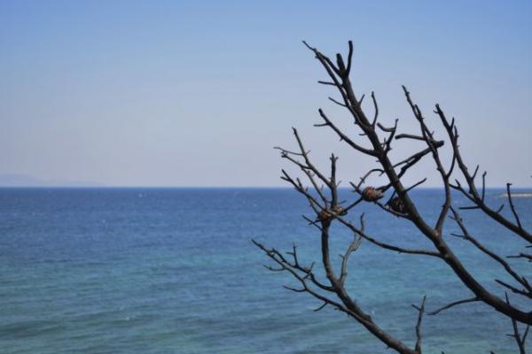 Η λίστα των 20 «υπόπτων» για την τραγωδία στο Μάτι