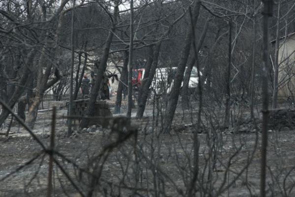 Φύτρου : Που ήταν τα ελικόπτερα την ώρα της φωτιάς στο Μάτι;