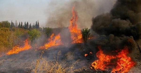 Σε εξέλιξη πυρκαγιά στη Σιθωνία Χαλκιδικής