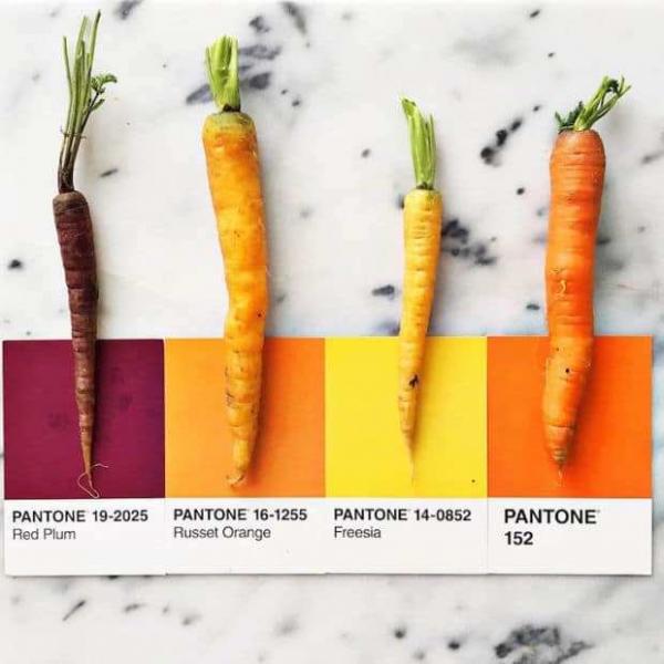 Χρώματα και τρόφιμα