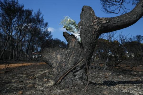 Τι έδειξαν οι μετρήσεις Δημόκριτου – Eθνικού Αστεροσκοπείου στις πυρόπληκτες περιοχές